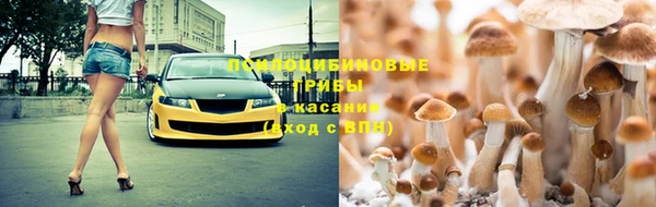 PSILOCYBIN Баксан