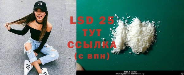 прущие грибы Балахна