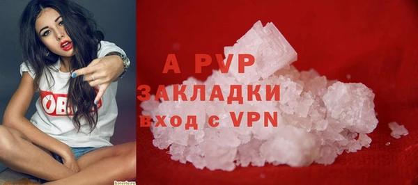 PSILOCYBIN Баксан