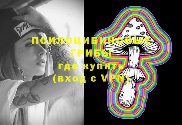 прущие грибы Балахна