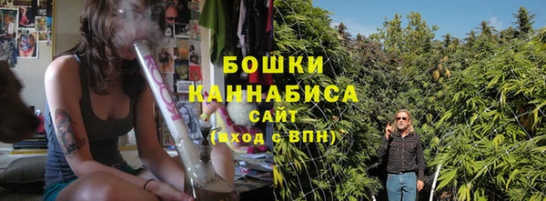 PSILOCYBIN Баксан
