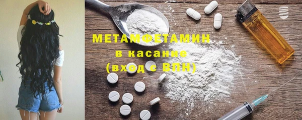 прущие грибы Балахна