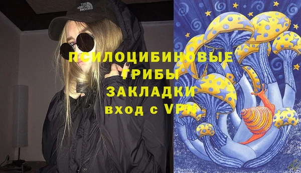 PSILOCYBIN Баксан