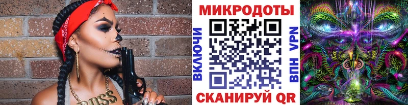 Псилоцибиновые грибы Psilocybe  как найти наркотики  Подпорожье 